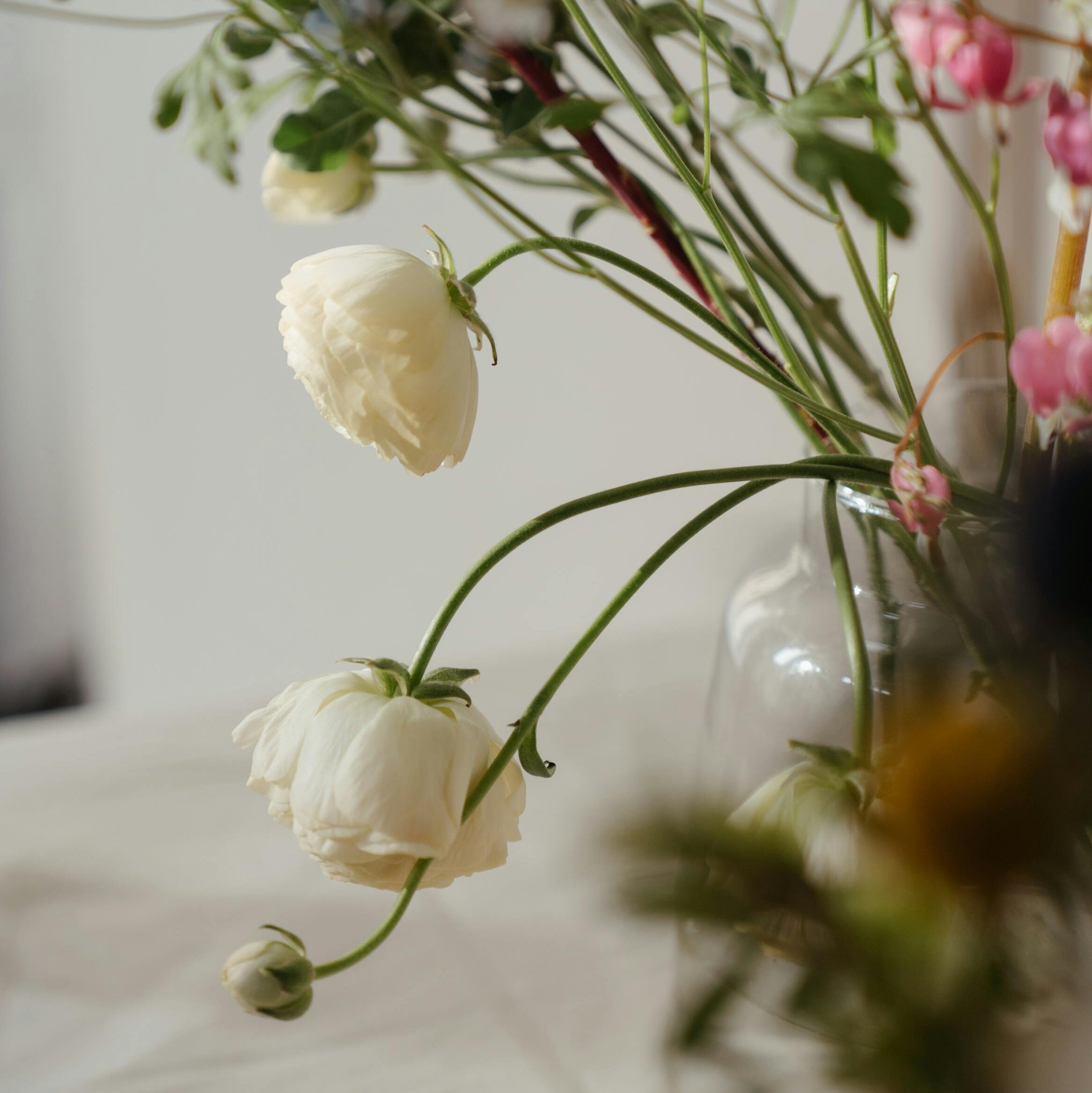 white flowers