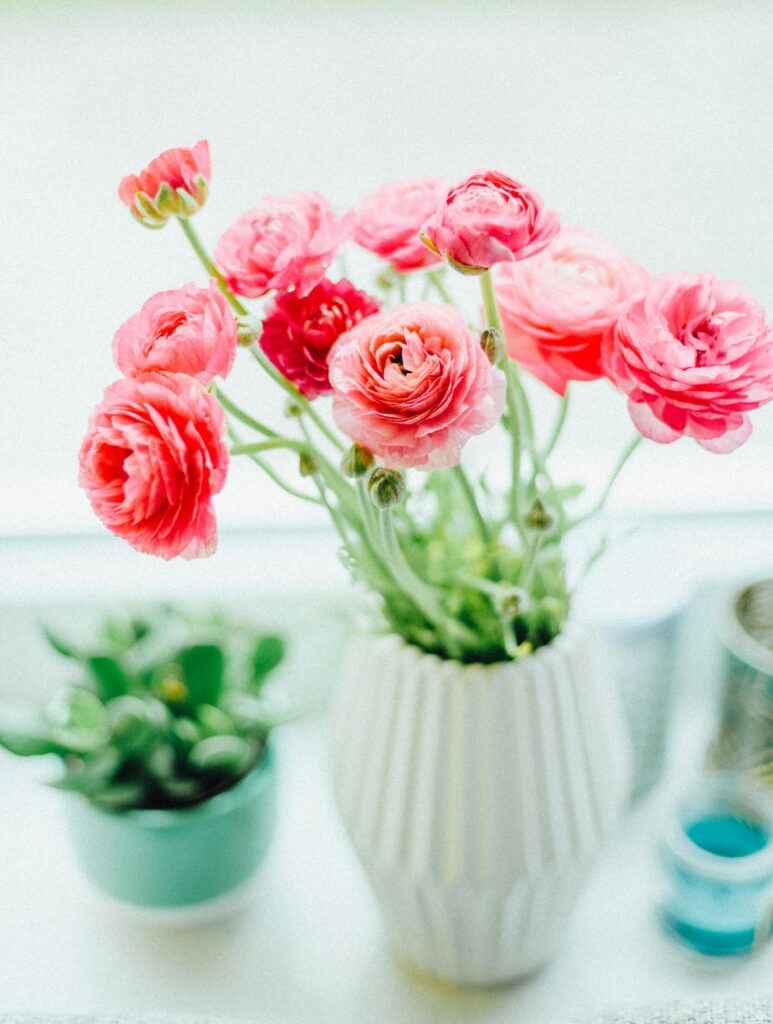 ranunculus flowers 